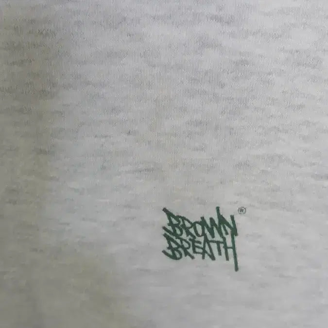 [BUNJANG] Brownbreath Hoodie L Size / 브라운브레스 후드티 L사이즈 스트링줄없음 사용감 뒷판 보풀로저렴