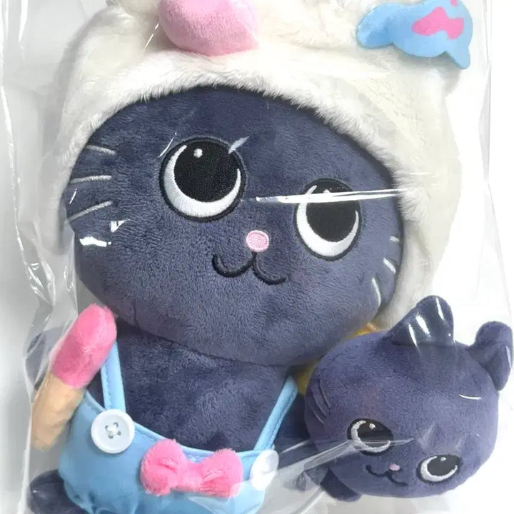 [BUNJANG] RIIZE Wonbin 20cm Doll / 라이즈 원빈 토냥덕 20cm