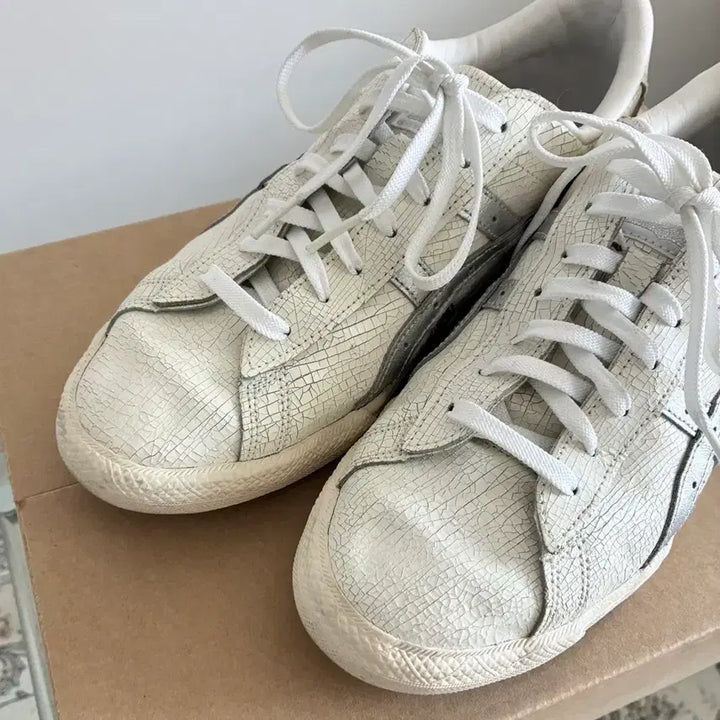 [BUNJANG] Onitsuka Tiger Fabre Silver Sneakers / 오니츠카타이거 파브레 실버 270