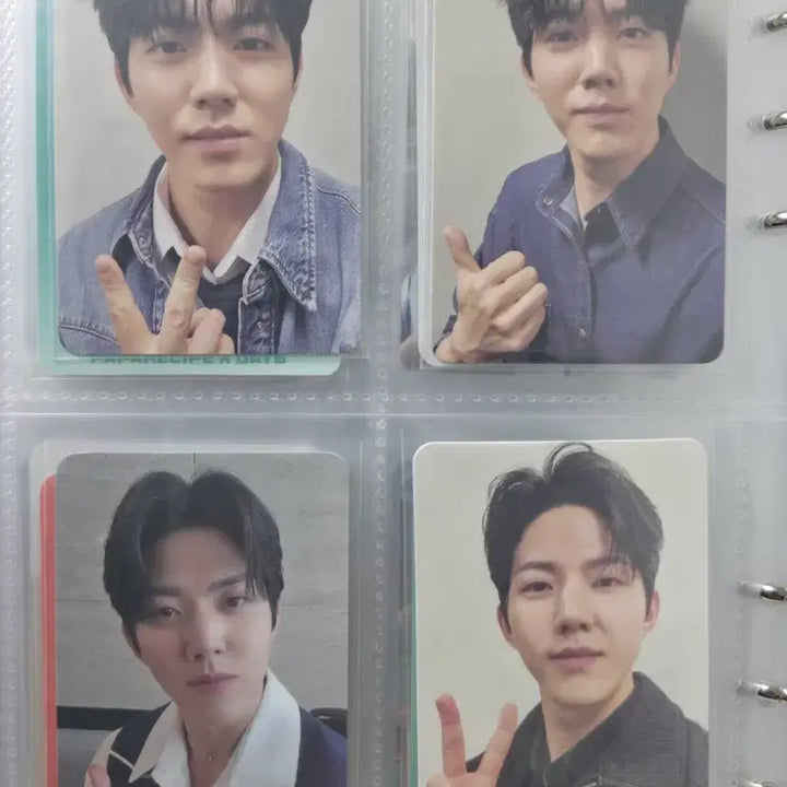 [BUNJANG] Day6 Dowoon Photocard Bundle Set / [32장일괄] 데이식스 도운 포카 윤도운 포카
