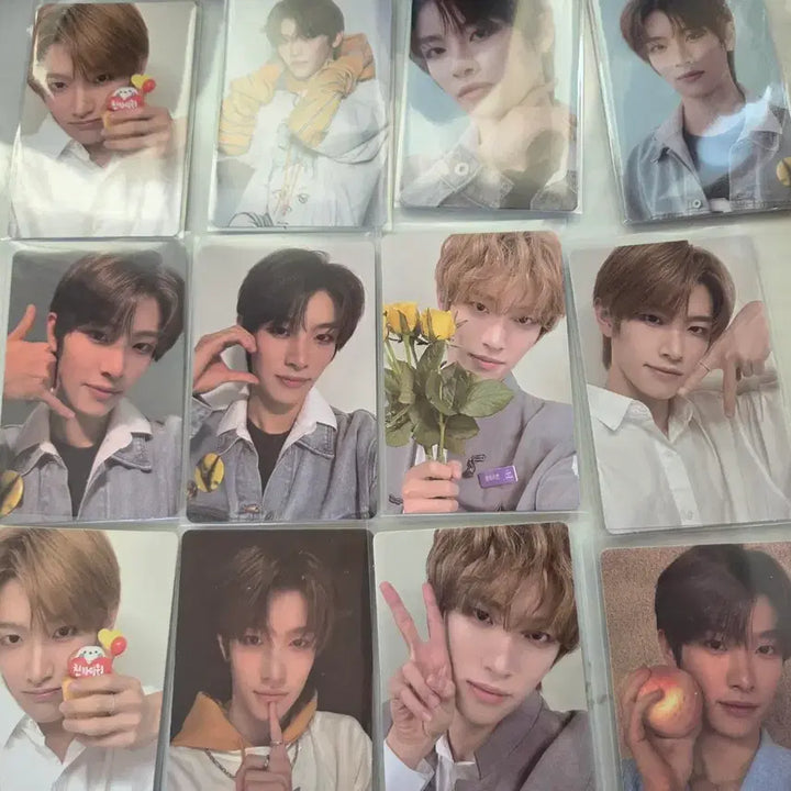 [BUNJANG] BOF2 Chen Keyan Photocard / 보플2 전시회 천카이원 포카 양도