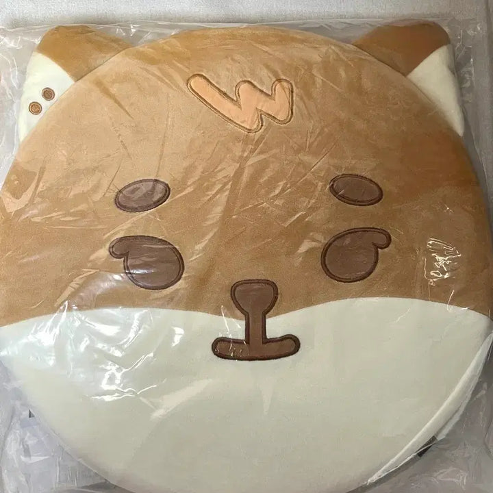 [BUNJANG] Day6 Young K Dennimalz Cushion Photocard / 데이식스 피어텐 팬미팅 데니멀즈 쁘띠멀즈 방석 케 영케이 포카