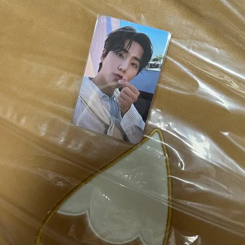 [BUNJANG] Day6 Young K Dennimalz Cushion Photocard / 데이식스 피어텐 팬미팅 데니멀즈 쁘띠멀즈 방석 케 영케이 포카