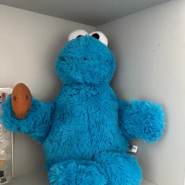 [BUNJANG] Sesame Street Cookie Monster Universal Studios Japan Plush / 세서미 쿠키 몬스터 유니버셜 스튜디오 재팬