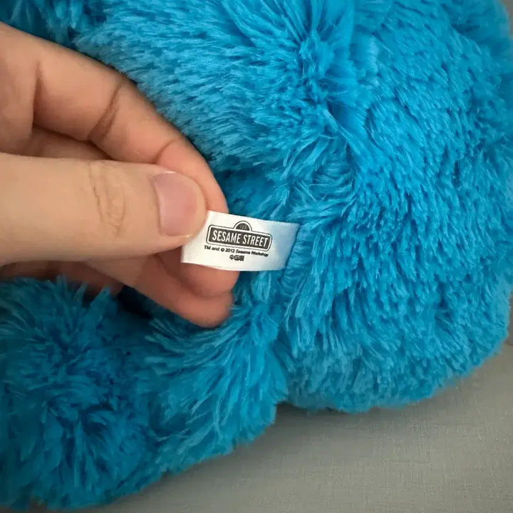 [BUNJANG] Sesame Street Cookie Monster Universal Studios Japan Plush / 세서미 쿠키 몬스터 유니버셜 스튜디오 재팬