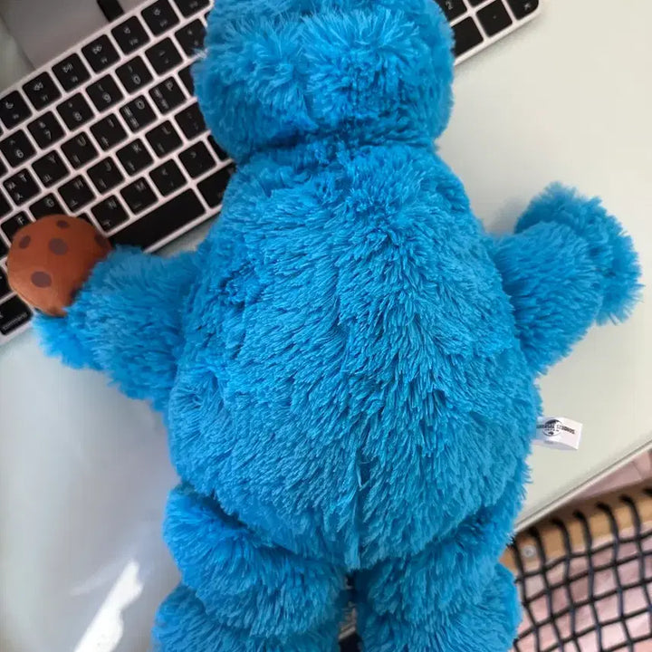 [BUNJANG] Sesame Street Cookie Monster Universal Studios Japan Plush / 세서미 쿠키 몬스터 유니버셜 스튜디오 재팬