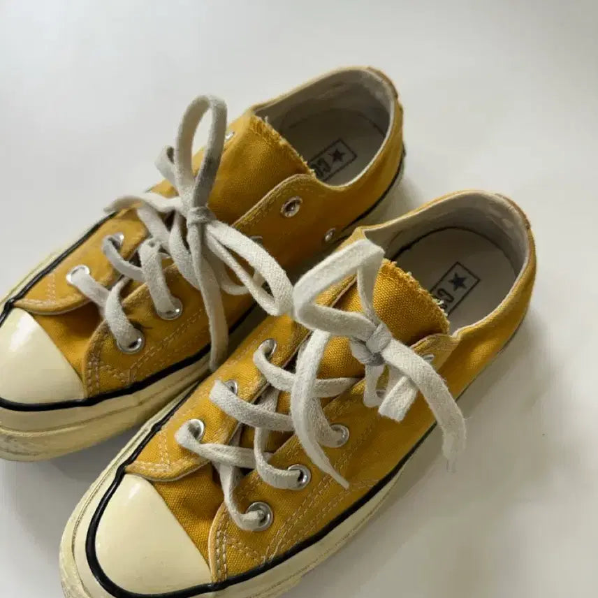[BUNJANG] Converse Chuck Taylor 70s Low Sunflower (Size 230) / 컨버스 척테일러 70s 로우 썬플라워 230
