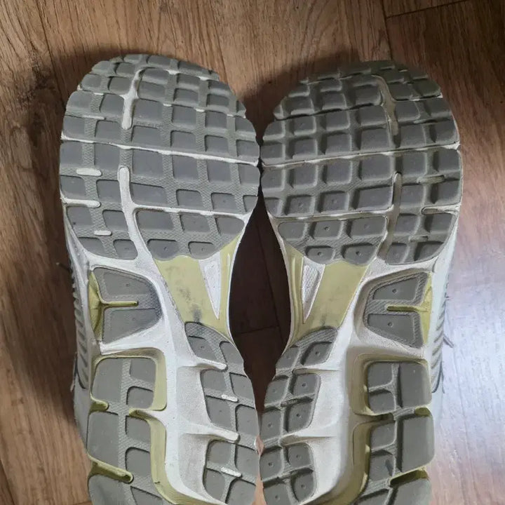 [BUNJANG] Nike Vomero Phantom (Size 270) / 나이키 보메로 팬텀 270사이즈