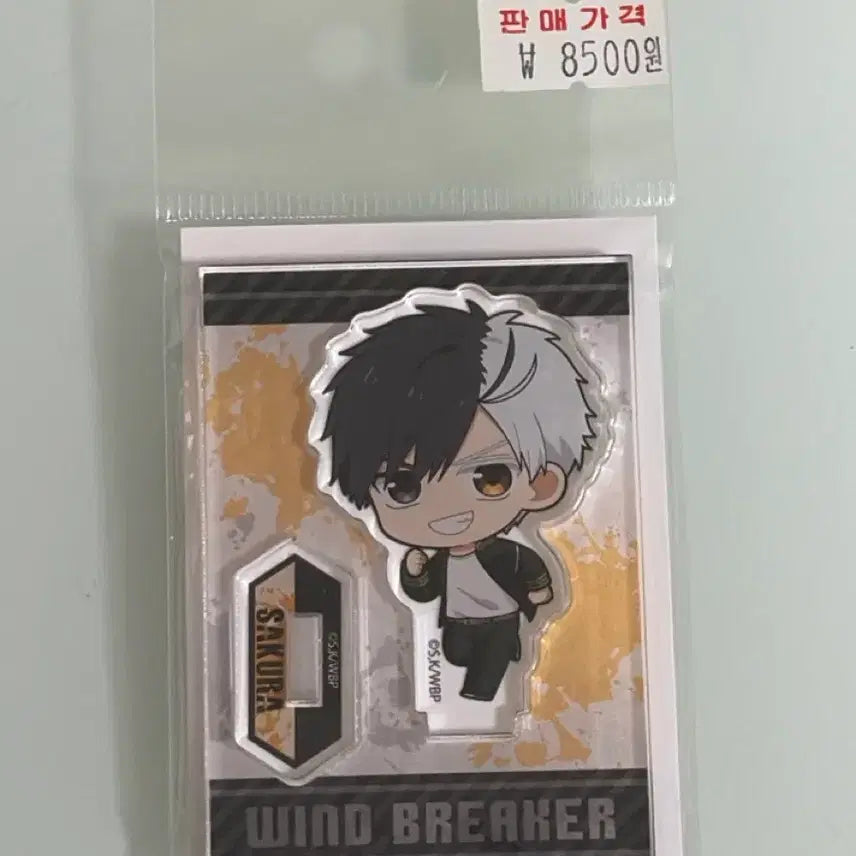 [BUNJANG] Winbreaker Sakura Acrylic Stand / 윈브레 사쿠라 아크릴스탠드