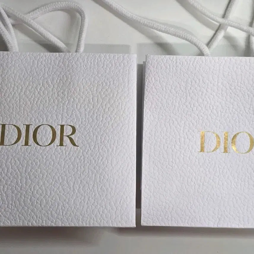 [BUNJANG] Dior Shopping Bag / 명품 디올 쇼핑백
