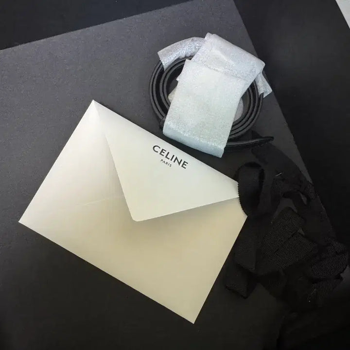 [BUNJANG] Celine Camille Bag Small / 셀린느 까미유백 블랙 스몰