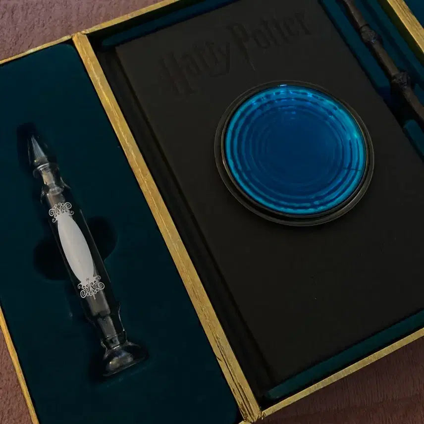 [BUNJANG] Harry Potter Pensieve Memory Set / 단순개봉) 해리포터 펜시브 메모리 세트