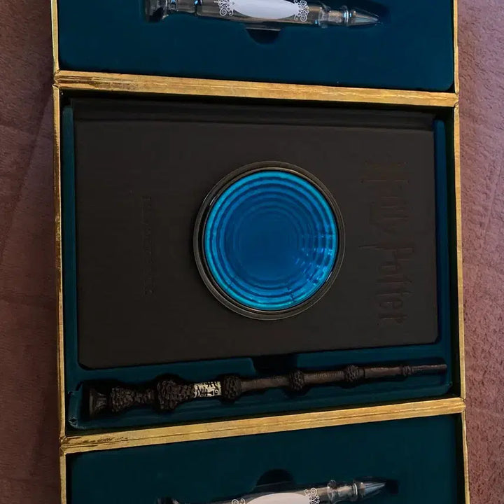 [BUNJANG] Harry Potter Pensieve Memory Set / 단순개봉) 해리포터 펜시브 메모리 세트