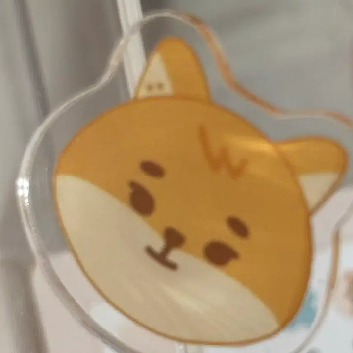 [BUNJANG] DAY6 Kpop Accessories Charm / 데이식스 케 지비츠