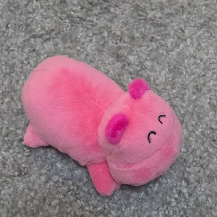 [BUNJANG] TabeCo Hamster Plush / 택포/타베코 하마인형