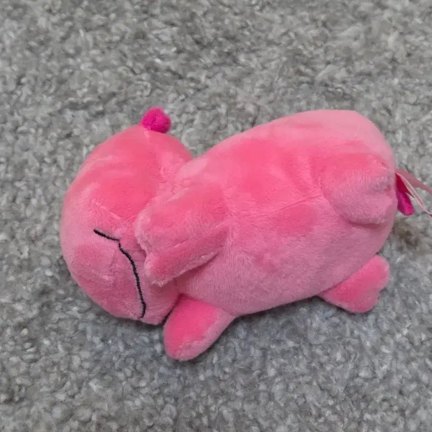 [BUNJANG] TabeCo Hamster Plush / 택포/타베코 하마인형