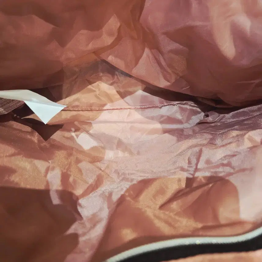 [BUNJANG] Puma Selena Gomez En Pointe Tote/Shoulder Bag / 푸마 셀레나 고메즈 콜라보 앙 푸엔테/엔 포인테 발레코어 토트/숄더백