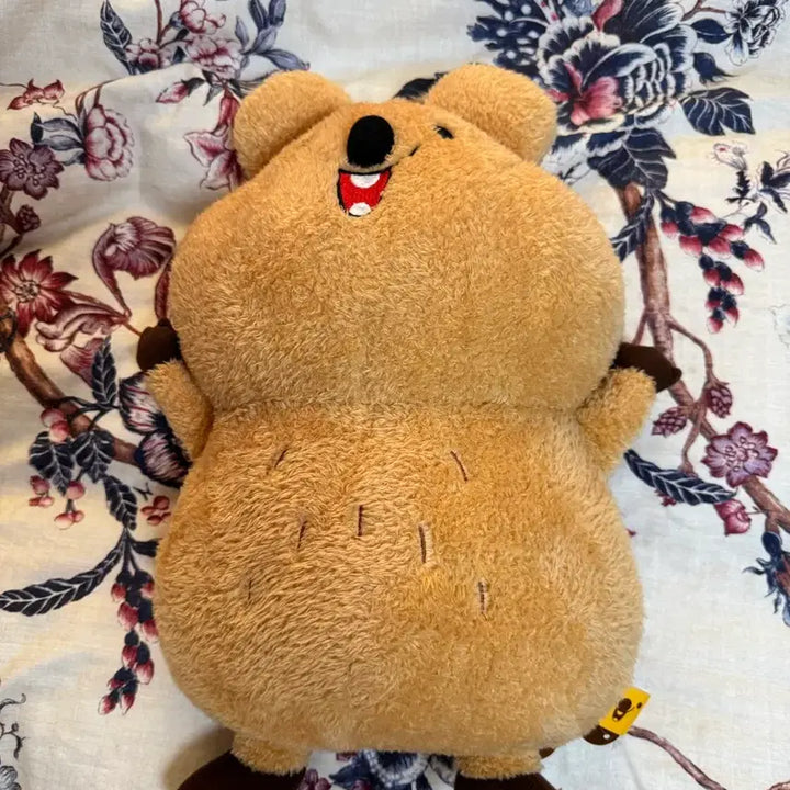 [BUNJANG] Stuffed Toy / 뚱카 인형 새제품