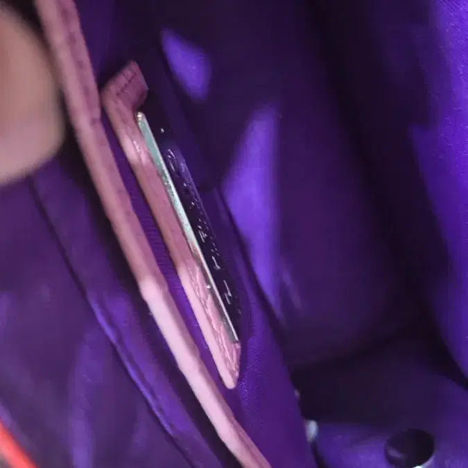 [BUNJANG] Mini Croc-Embossed Crossbody Bag / 잘모이  악어가죽~~  미니  크로스백  :최저가~