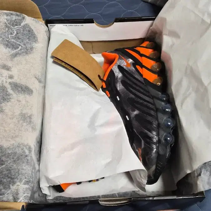 [BUNJANG] Nike Palace Dn8 260 / 나이키 팔라스 Dn8 260 새상품