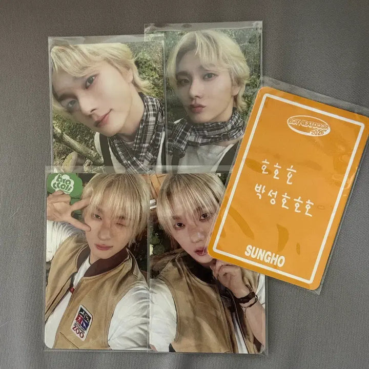 [SOLD OUT] 보넥도 성호 시즌그리팅 포카 세트
