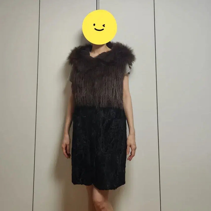 [BUNJANG] Jindo Elfe Sable Fox Lamb Vest / 진도 엘페 세이블 느낌의 폭스 램 베스트
