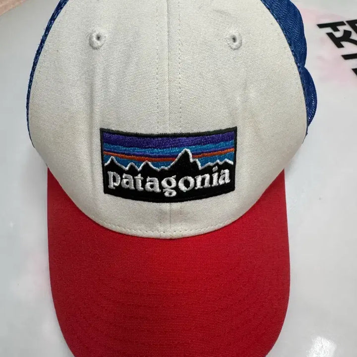 [BUNJANG] Patagonia Classic Logo Trucker Cap / Patagonia 파타고니아 클래식 로고 트러커 캡