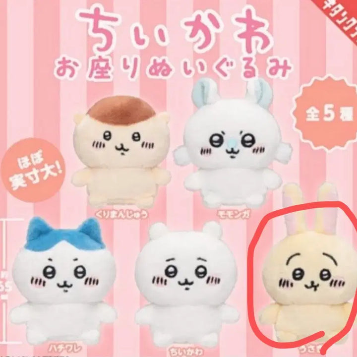 [BUNJANG] Usagi Plush Doll / 앉아있는 우사기 인형 앉은 누이