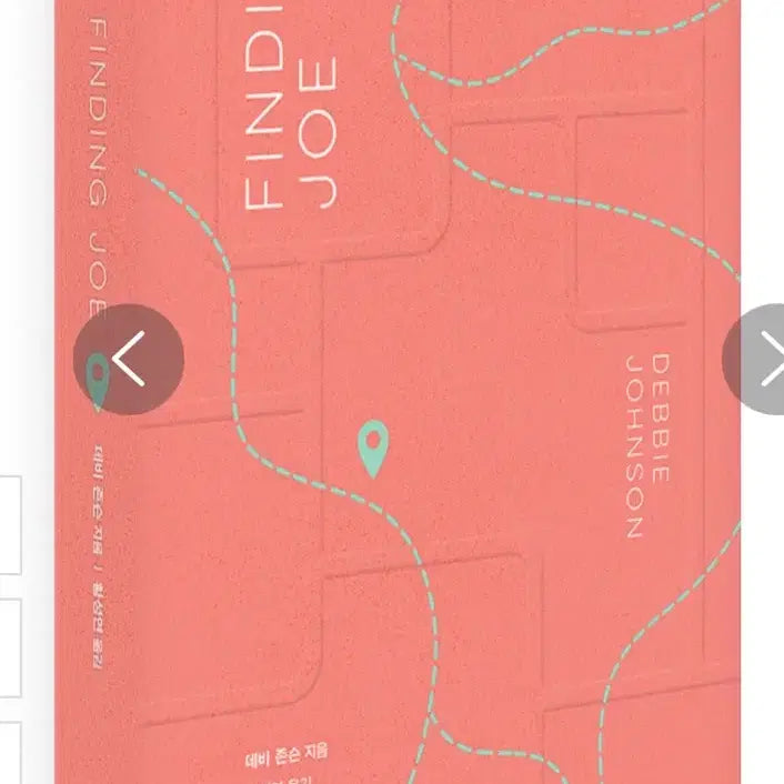 [BUNJANG] Finding Joe by Debbie Johnson Book / 파인딩 조 데비 존슨 작가님 장편소설 책 판매