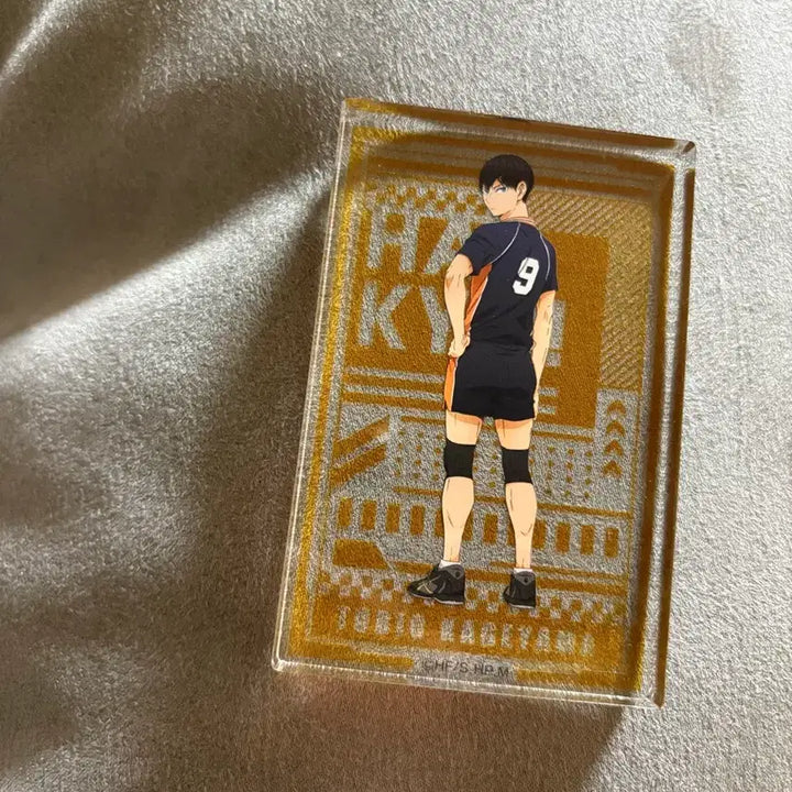 [BUNJANG] Kageyama Acrylic Stand / 카게야마 아크릴