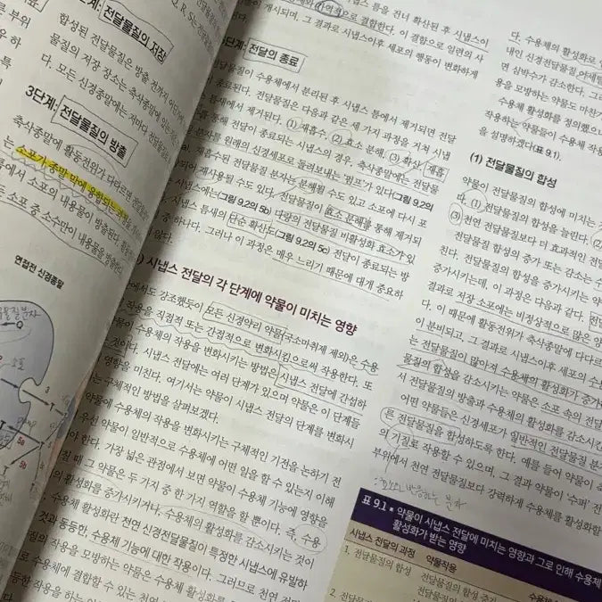 [BUNJANG] Soomunsa Clinical Pharmacology Textbook (10th Edition) / 임상약리학의 이해 (기초) 10판 - 수문사