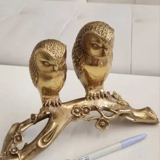 [BUNJANG] Owl Couple Bronze Sculpture / 부엉이부부 브론즈