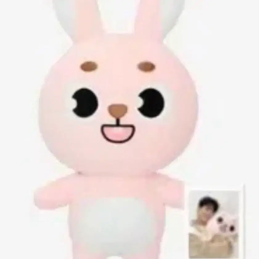 [BUNJANG] Day6 Jae Giant Denimals Photocard / 데이식스 자멀 필 판매 자이언트 데니멀즈