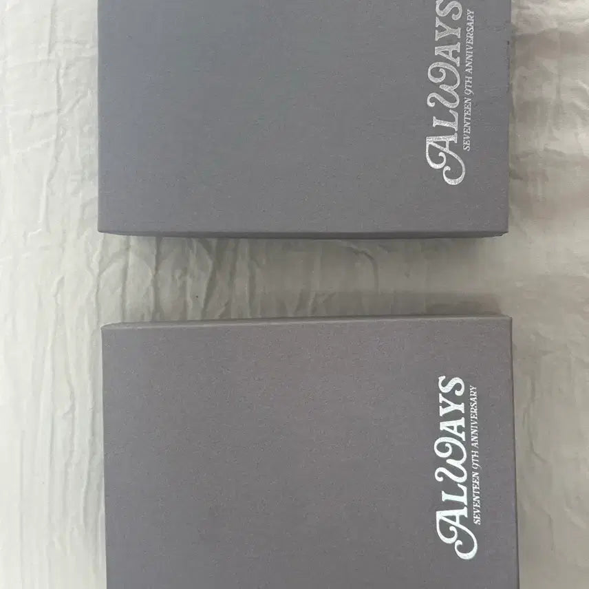 [BUNJANG] Seventeen S.Coups & Wonwoo 9th Anniversary Necklace / 원가양도) 세븐틴 에스쿱스,원우 9주년 목걸이