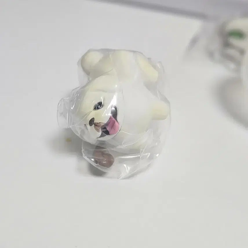 [BUNJANG] Pug Gacha / 강아지 퍼그 가챠