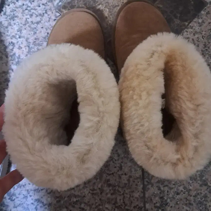 [BUNJANG] UGG Ankle Boots 240 / UGG 발목어그부츠 240