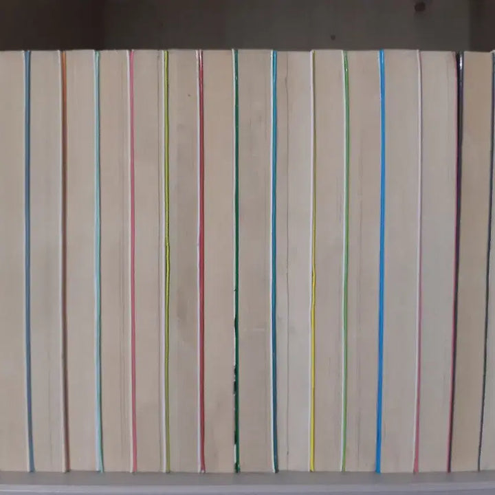 [BUNJANG] Makkibao Complete Set First Edition / 푸른날의 마끼바오 전권 소장용 초판