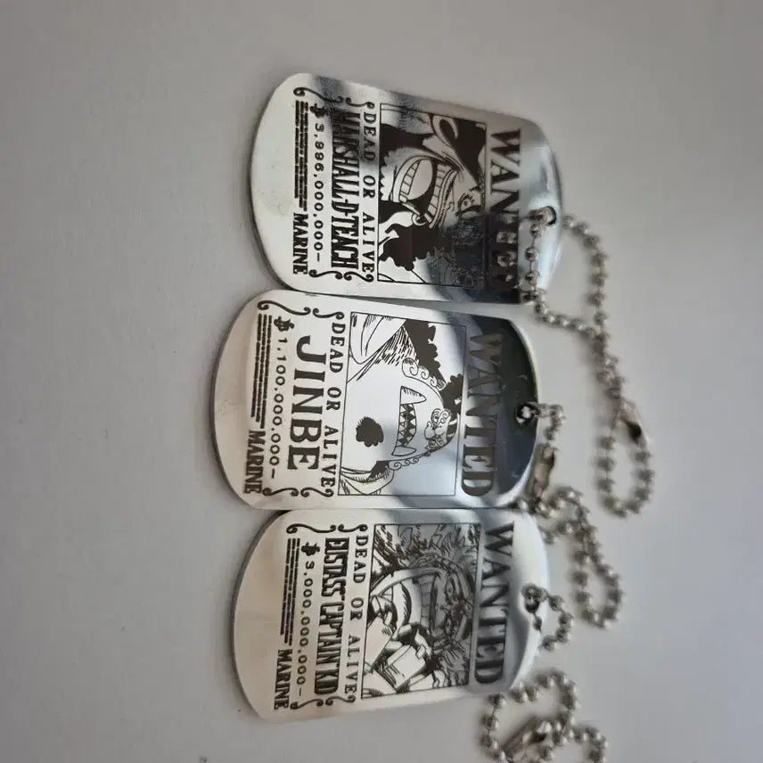 [BUNJANG] One Piece Wanted Poster Metal Keyring / 원피스 메탈키링