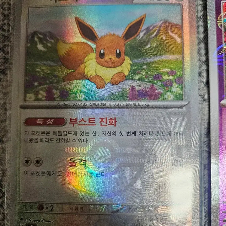 [BUNJANG] Pokemon Master Ball & Eevee Bundle Set / 포켓몬 마스터볼 카드 14장 + 이브이 일괄
