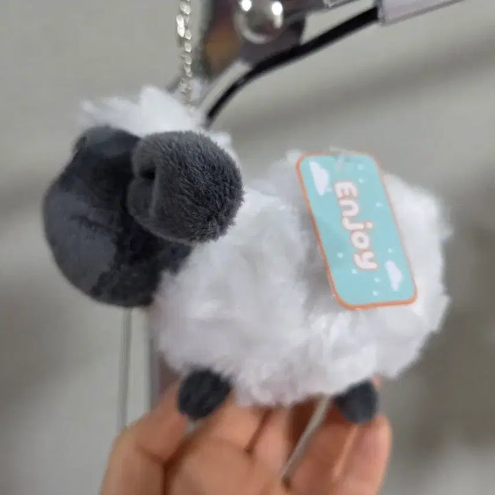 [BUNJANG] SHINee SHINee Sheep Keyring / 숀더쉽 양 인형 키링