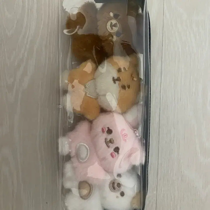 [BUNJANG] Day6 Bbybb Merch Bundle Set / 데이식스 쁘쁘멀 판매합니다.