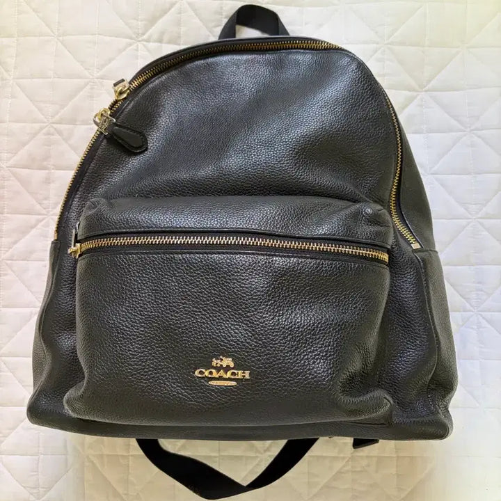 [BUNJANG] Coach Leather Backpack / 코치 가죽 백팩