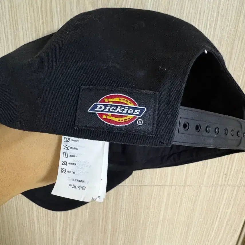 [BUNJANG] Dickies Iconic Logo Ball Cap / 디키즈 아이코닉 로고 볼캡