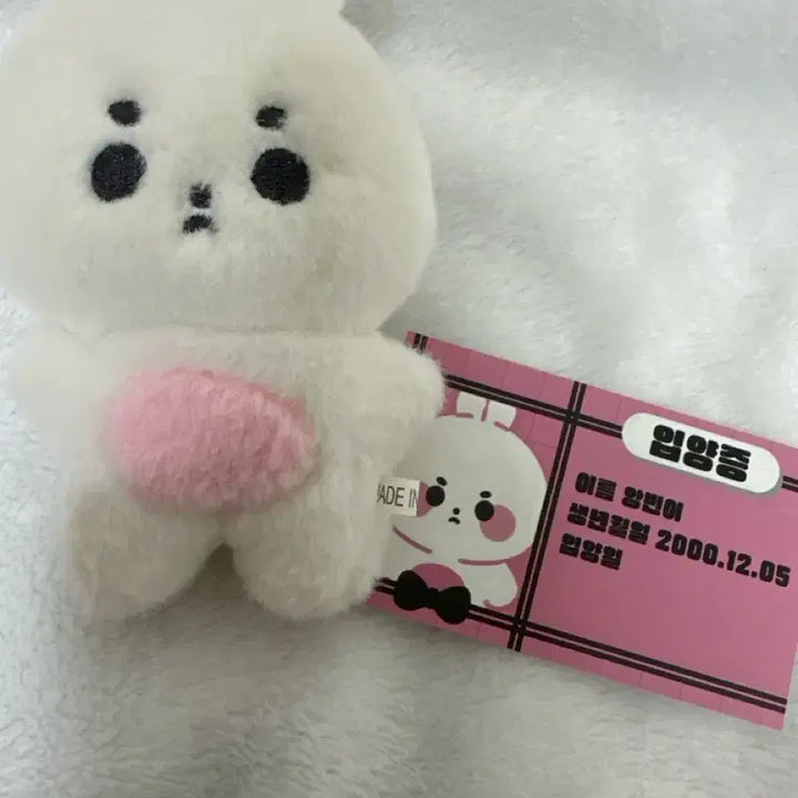 [BUNJANG] TXT Beomgyu Photocard / 투모로우바이투게더 앙빈이 판매