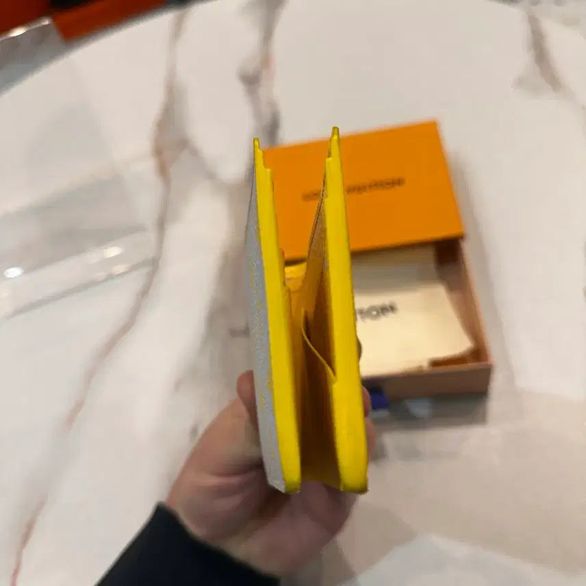 [BUNJANG] Louis Vuitton Multiple Wallet / 루이비통 멀티플 월릿 반지갑 한정판