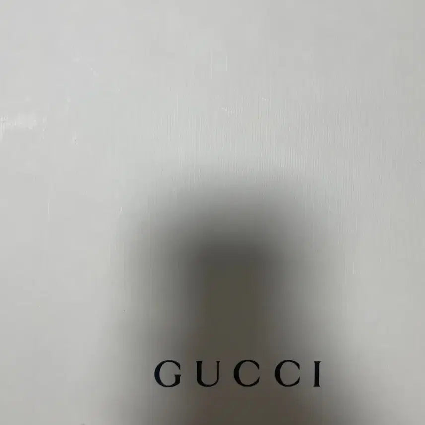 [BUNJANG] Gucci Clutch Bag / 구찌 클러치백 정품 판매합니다