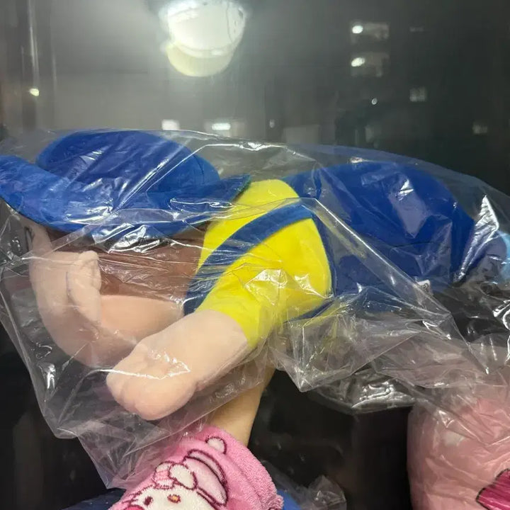 [SOLD OUT] 후지야 포코짱 캐릭터 바디 쿠션 인형 미개봉