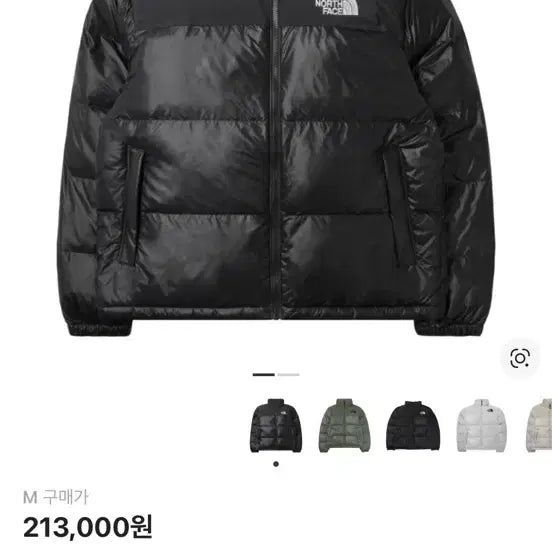 [BUNJANG] North Face Onball Nuptse (M) 95 / 노스페이스 온볼 눕시(m)95 급처!