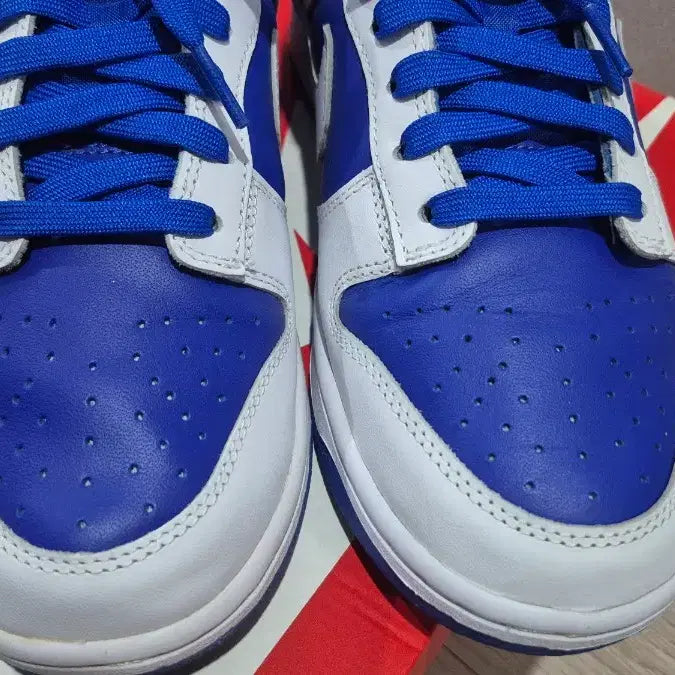 [BUNJANG] Nike Dunk Authentic Sneakers / 나이키 덩크 정품