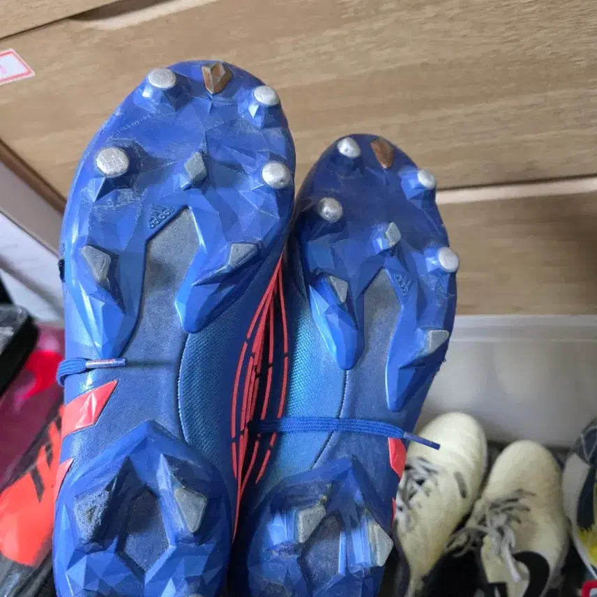 [BUNJANG] Adidas Predator Edge SG 290 / 아디다스 프레데터 엣지sg 290